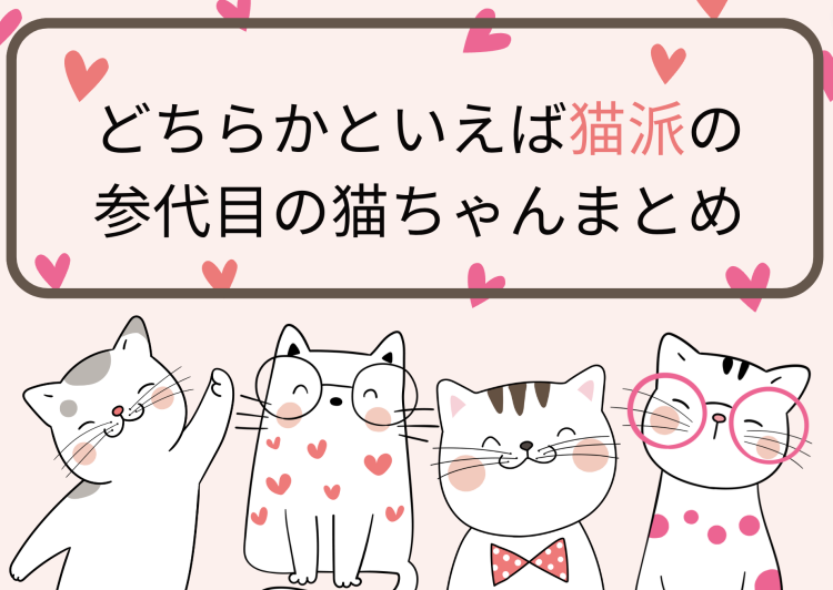 カワイイがいっぱい！ワンダーランド